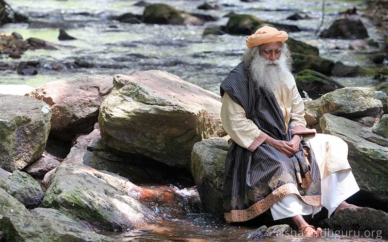 Mystic Quote - Sadhguru